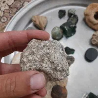 سنگ و فسیل|کلکسیون اشیاء عتیقه|شیراز, گویم|دیوار