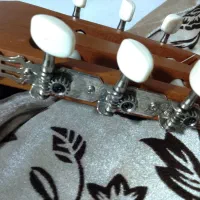 گیتار پارسی درحد|گیتار، بیس، امپلیفایر|کلاله, |دیوار