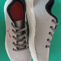 کفش اسپورت فقط ۲۹۹ هزار تومان با سکه و اسکناس|کیف، کفش، کمربند|اصفهان, شهرک صنعتی امیرکبیر (شاپور جدید)|دیوار