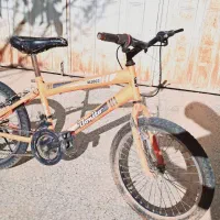 دوچرخه ۲۰ دنده ای