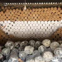 چسب کارتن اب چسب آب چسب