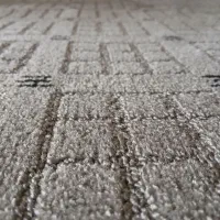 پالاز لوپ فشرده