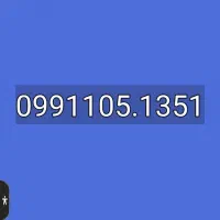 0991.105.1351