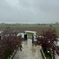 ویلای-جنگلی