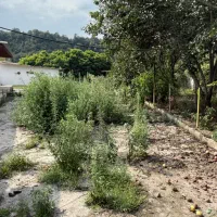 ویلا باغ 1150 متری در جاده هراز نزدیک تهران|فروش خانه و ویلا|امامزاده عبدالله, |دیوار