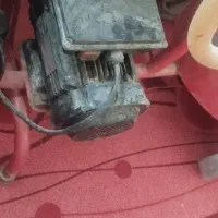 شیر دوش زرین دوش|لوازم جانبی حیوانات|رزن, |دیوار