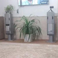 باند قدی