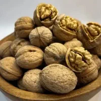 گردودرجه یک تک درخت