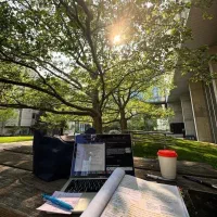 شغل غیرحضوری ماهی سی