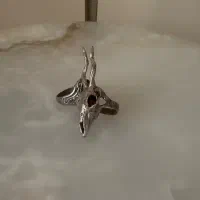 اکسسوری خاص|لباس|بیرجند, |دیوار