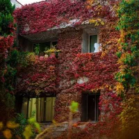 فروش-زمین-350-متر-قدوسی