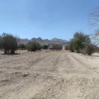 فروش دو قطعه زمین کشاورزی و یک برج کبوتر ثبت ملی|فروش زمین و ملک کلنگی|اصفهان, گورت|دیوار