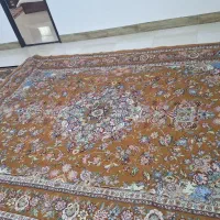 روفرشی ۱۲ متری|روفرشی|گنبد کاووس, |دیوار