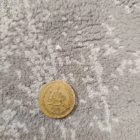 کلکسیونی سکه