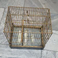قفس سهره|لوازم جانبی حیوانات|تهران, امیریه|دیوار
