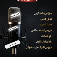 آموزش سخنوری و فن بیان تضمینی