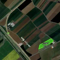 اجاره  ۴هکتار زمین مزروعی برای گندم در اجیرلو