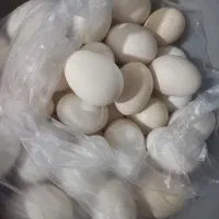 تخم مرغ محلی