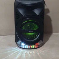 اسپیکر .همراه میکروفون. رقص نور