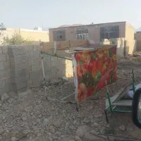 فروش نخل خرما صدرصد تضمینی|خدمات باغبانی و درختکاری|داراب, |دیوار