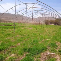 سازه گلخانه برای فروش