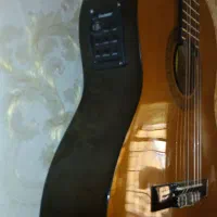 گیتار هافنر آلمان|گیتار، بیس، امپلیفایر|چناران, |دیوار