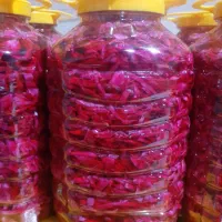 ترشی کلم قرمز