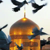 مشهد ویژه فروردین اقساطی