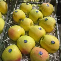 پخش میوه درجه یک مراسم تولد نامزدی عروسی ختم|خدمات پذیرایی، مراسم|فردیس, ثابتی|دیوار