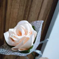 گل گروگن زیبا با روبان|گل مصنوعی|شیراز, اصلاح‌نژاد|دیوار