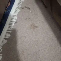 موکت درحد