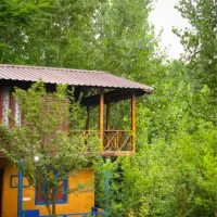 کلبه-جنگلی-نوساخت-قیمت-مناسب