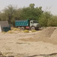 پژو اردی