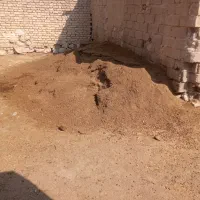 کود گوسفندی مرغوب