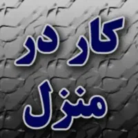 کارمخصوص بانوان