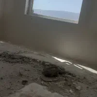 گچکاری ولکه گیری|خدمات پیشه و مهارت|بیرجند, |دیوار