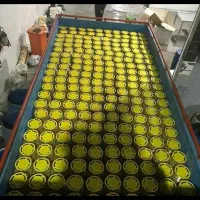 زیتون کنسروی