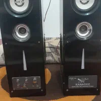 باند خانگی دوقلو