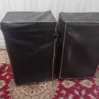 دو عدد باند