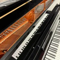 پیانو اکوستیک فویریخ FEURICH|پیانو، کیبورد، آکاردئون|تهران, بهجت‌آباد|دیوار
