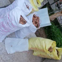 نان خشک تمیز