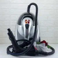 بخارشوی گلدن