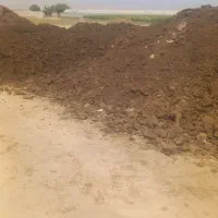 کود درجه یک گاوی به شرط