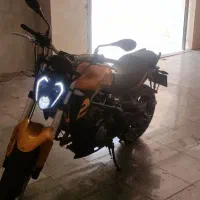 بنلی 300 جفت