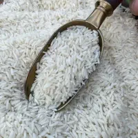 برنج طارم هاشمی