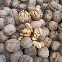 گردو کاغذی درجه یک