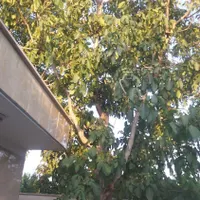 باغ،تهران، ملارد، دهکده تفریحی توریستی خوشنام|فروش خانه و ویلا|تهران, دریاچه شهدای خلیج فارس|دیوار