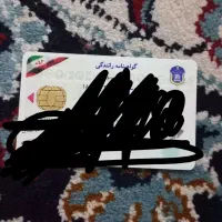 پیداشده امیر ح س ی ن ا ص فی