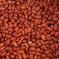 پخش عمده سنجدقزل درشت و پودر سنجد خلال نارنج وغیره