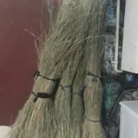 کرتک